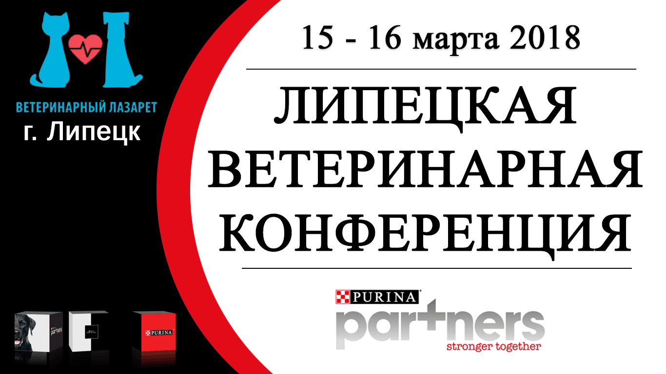 Ветеринарный лазарет отзывы. Ветеринарный лазарет Липецк. Ветеринарная конференция. Ветеринарная конференция лекторы. Ветеринарный лазарет Липецк врачи.